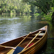 canoes